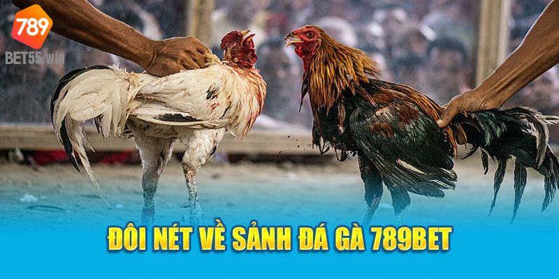 Giới thiệu tổng quan về đá gà tại 789BET