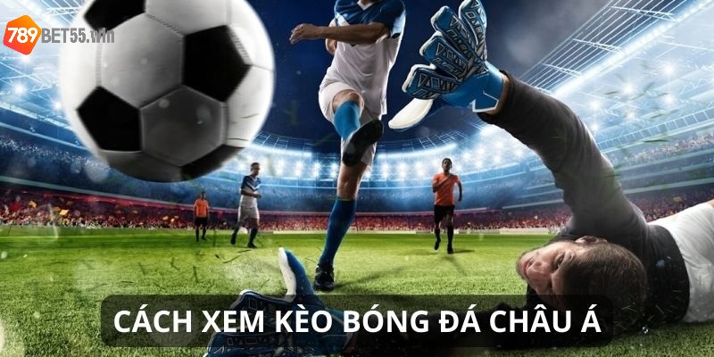 Cách xem các tỷ lệ cược cơ bản của kèo chấp