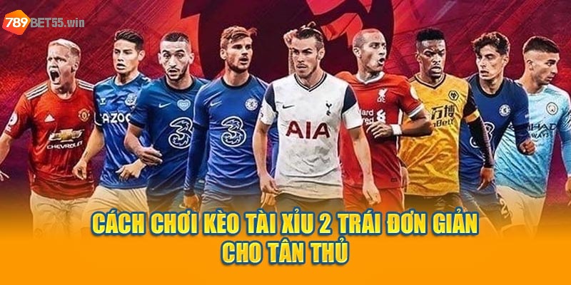 Cách chơi kèo tài xỉu 2 trái đơn giản cho tân thủ