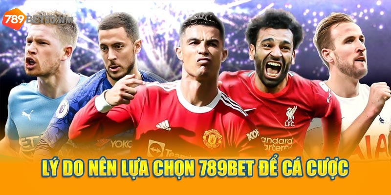 Lý do nên lựa chọn 789bet để cá cược