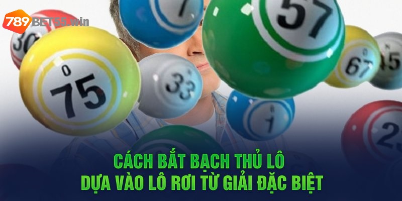 Cách bắt bạch thủ lô dựa vào lô rơi từ giải đặc biệt