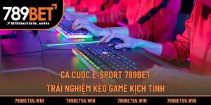 Cá Cược E-sport 789BET