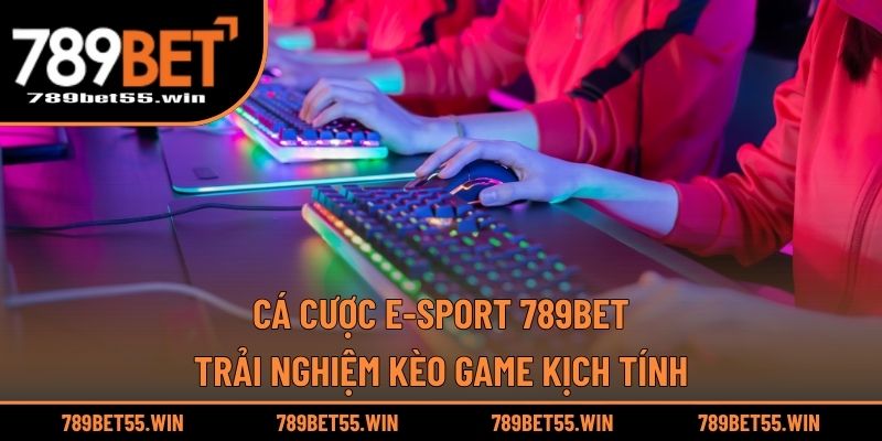 Cá Cược E-sport 789BET