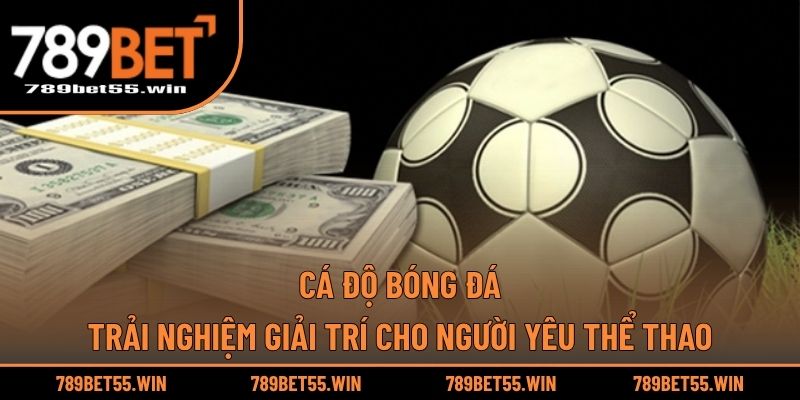 Cá Độ Bóng Đá