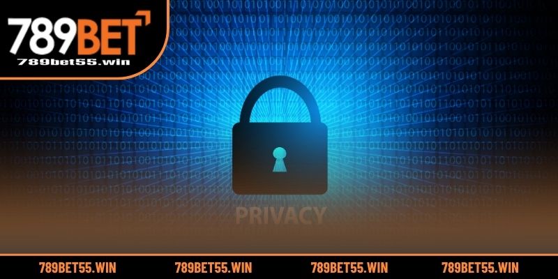 Luật pháp về vấn đề quyền riêng tư